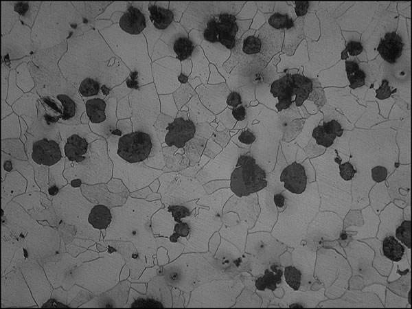 顯微金相組織分析 顯微金相組織分析